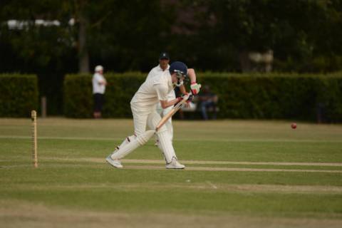 Coronation Park - Springfield CC