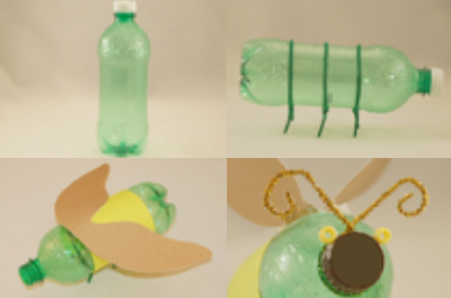 bottle bug thumbnail