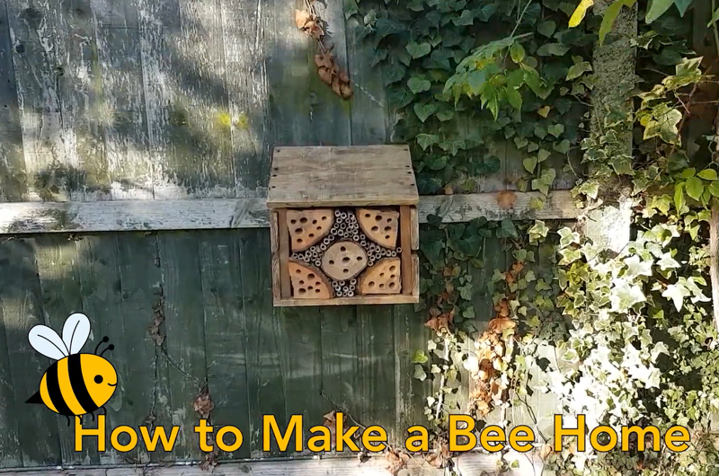 how to make a bee home