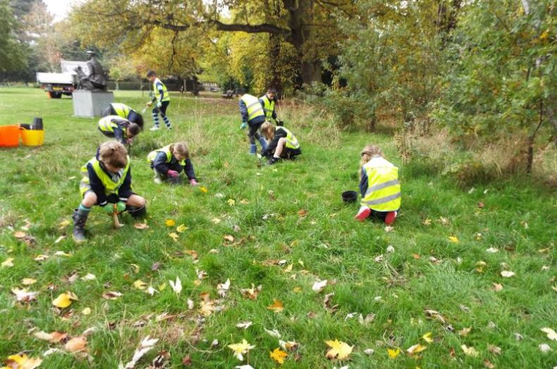 2024 - Oaklands Park, School planting