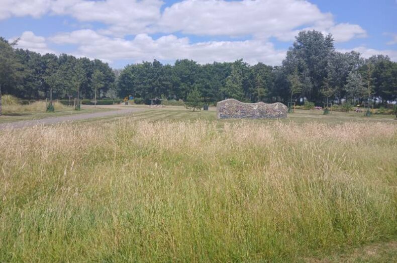 Compass-Gardens-Grassland-and-low stone art wall in back ground.