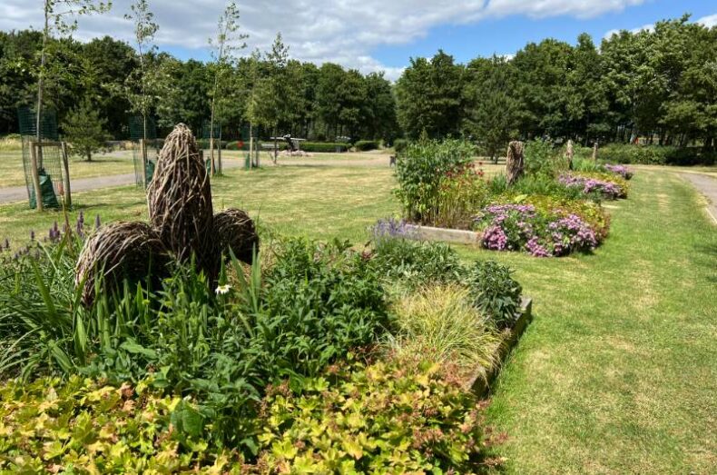 Compass-Gardens-shrub-and-flower-beds with a willow fler delis