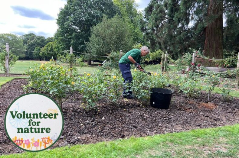 Nature pledge - Volunteer